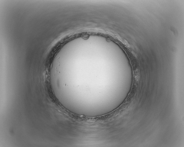 X0000116031495200912041924