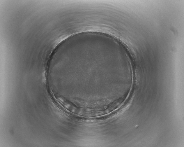 X0000116031497200912041924