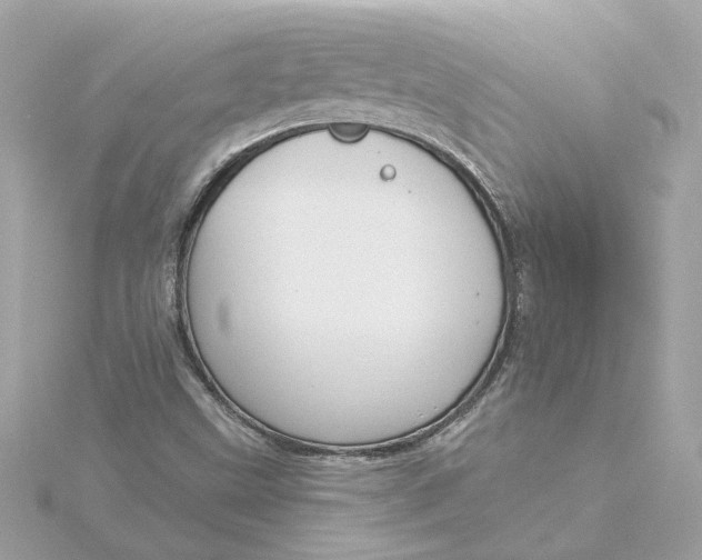 X0000116031499200912041924