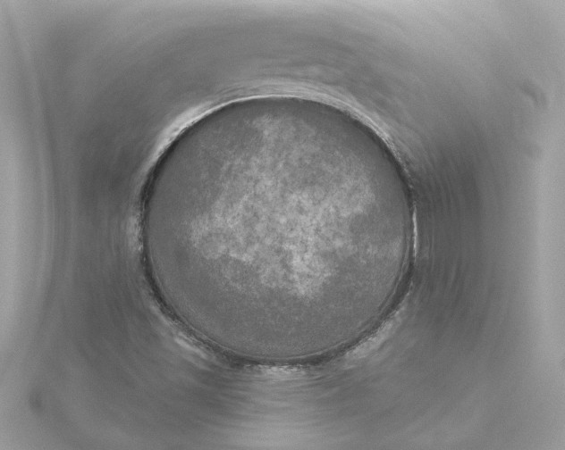 X0000116031501200912041924