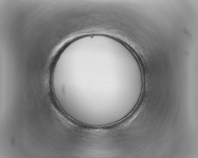 X0000116031502200912041924