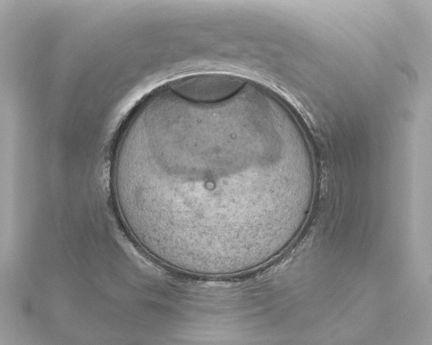 X0000116031503200912041924