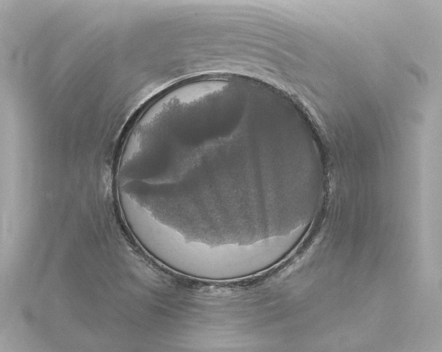 X0000116031505200912041924