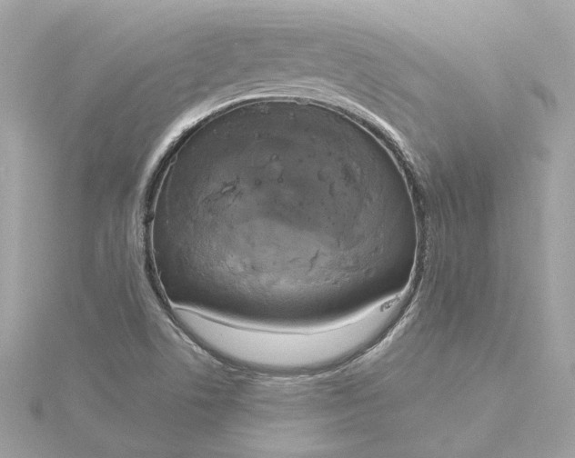 X0000116031506200912041924