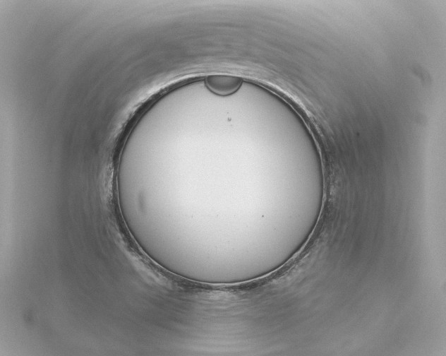 X0000116031507200912041924