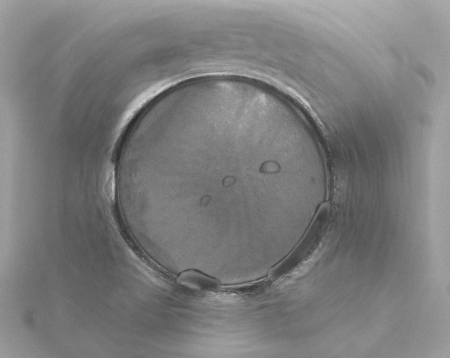 X0000116031509200912041924