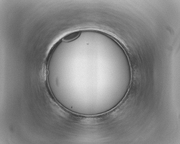 X0000116031510200912041924