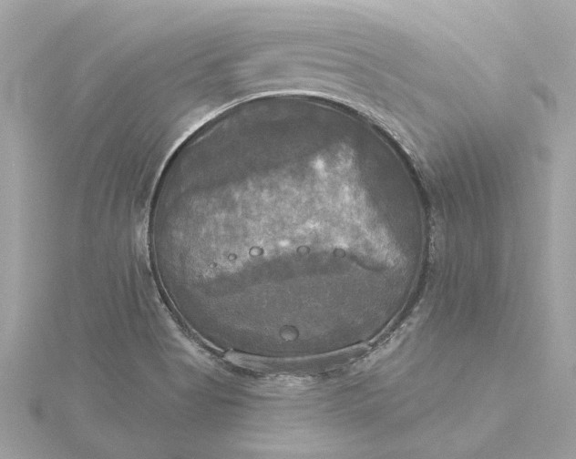 X0000116031513200912041924