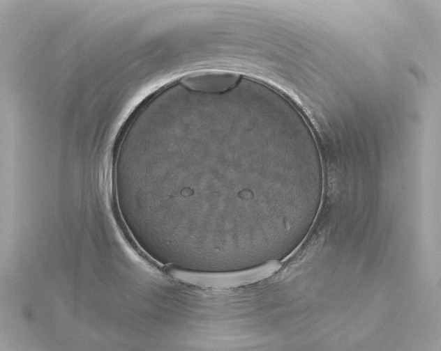 X0000116031515200912041924