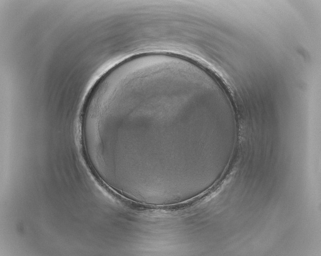 X0000116031517200912041924