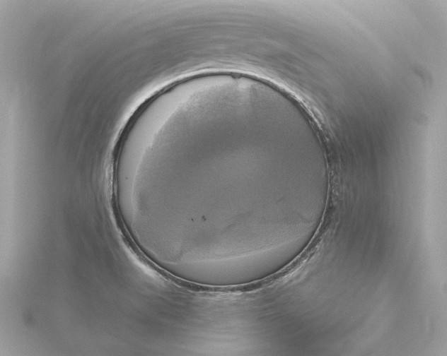 X0000116031519200912041924