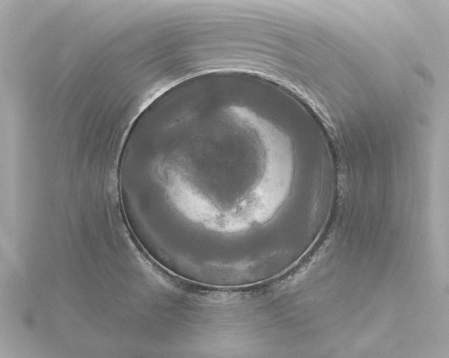 X0000116031521200912041924