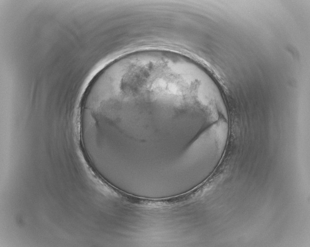 X0000116031522200912041924