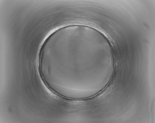 X0000116031523200912041924