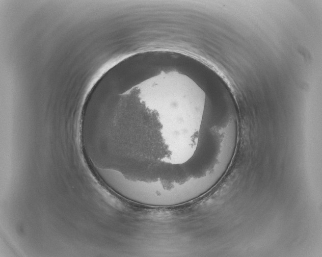 X0000116031525200912041924