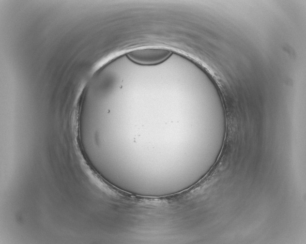 X0000116031526200912041924