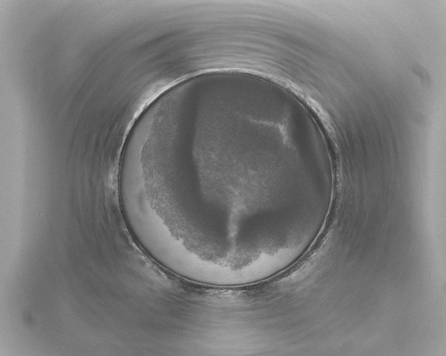 X0000116031529200912041924