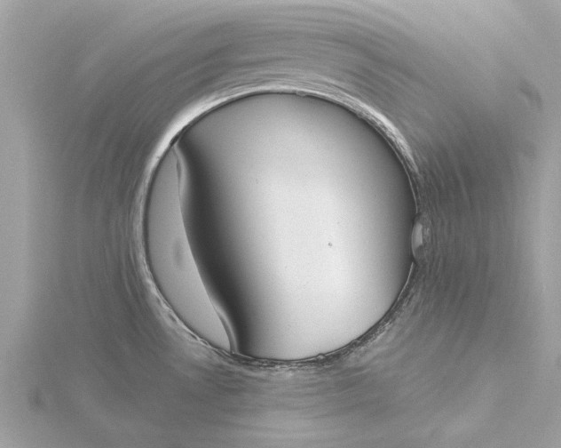 X0000116031530200912041924