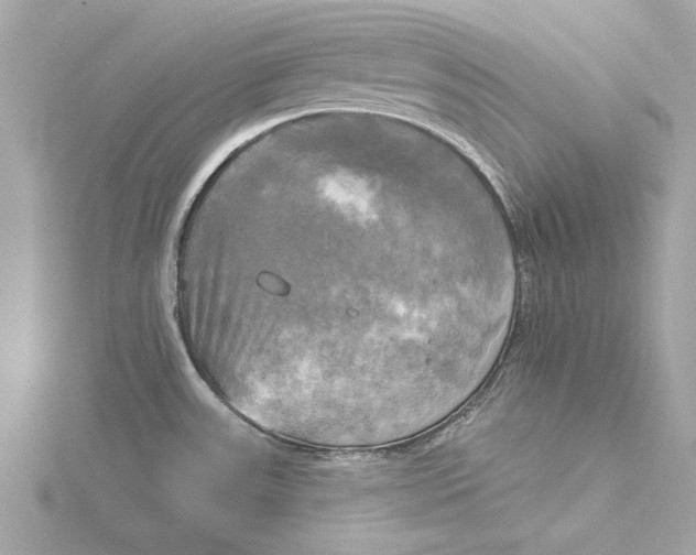 X0000116031531200912041924