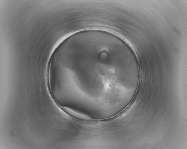 X0000116031533200912041924