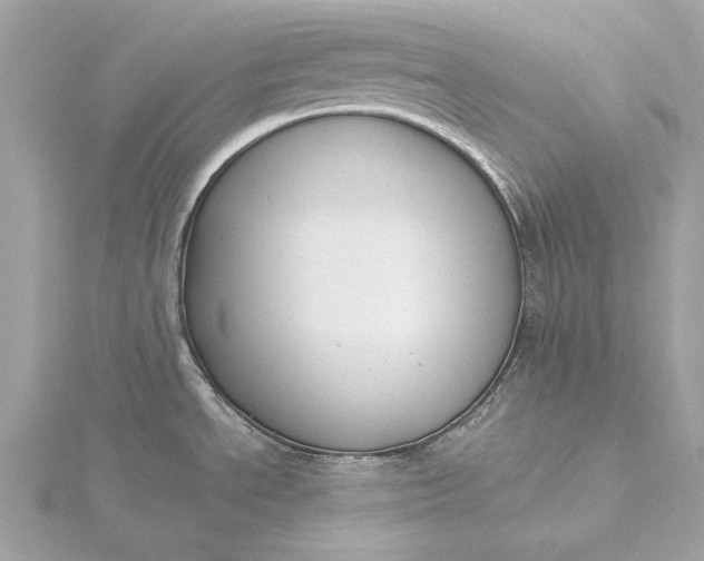 X0000116031534200912041924