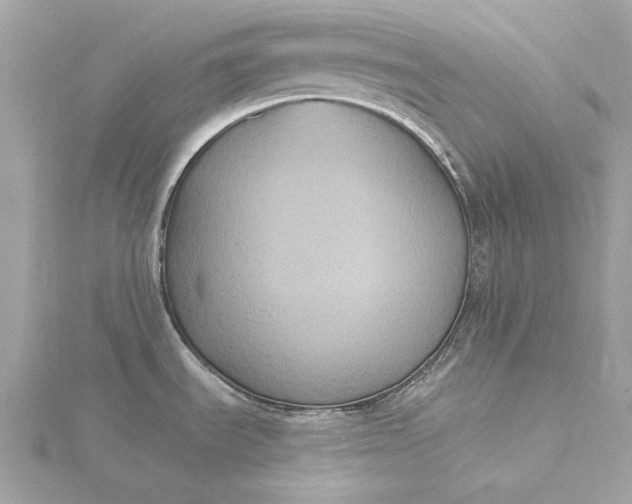 X0000116031535200912041924