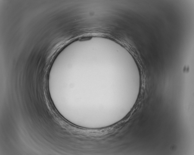 X0000116030001200912111427