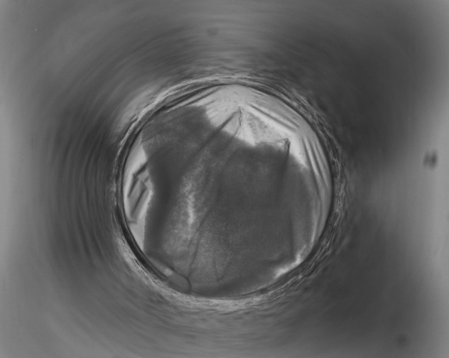 X0000116030002200912111427
