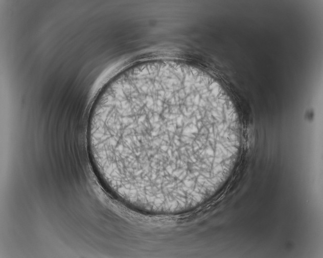 X0000116030004200912111426