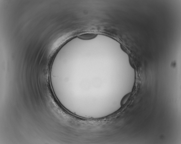 X0000116030005200912111426
