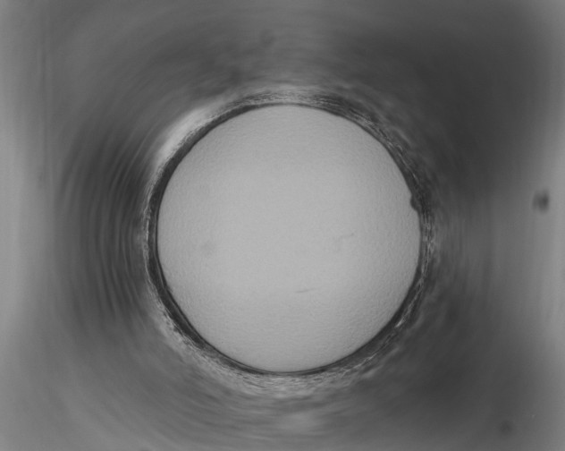 X0000116030006200912111426
