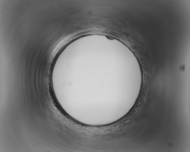 X0000116030007200912111426