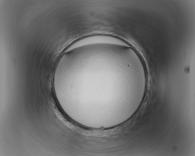 X0000116030009200912111426