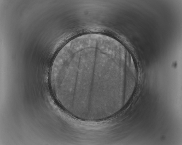 X0000116030010200912111426
