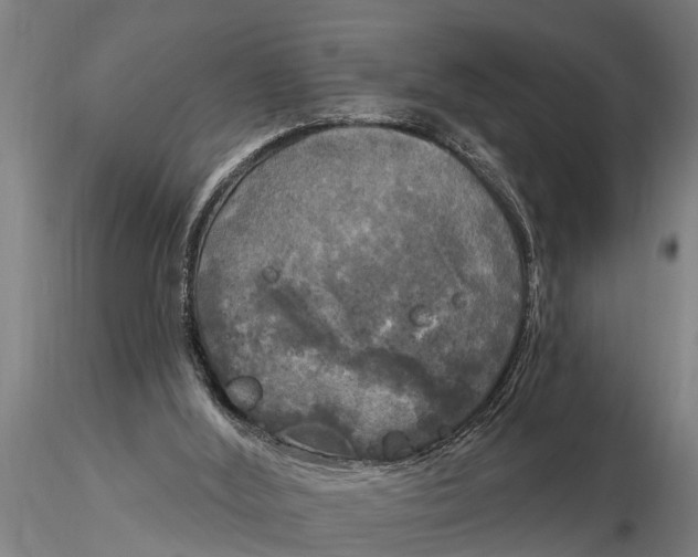 X0000116030012200912111426
