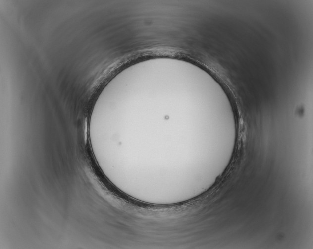 X0000116030013200912111426