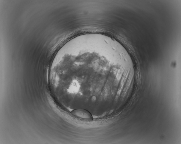X0000116030014200912111426