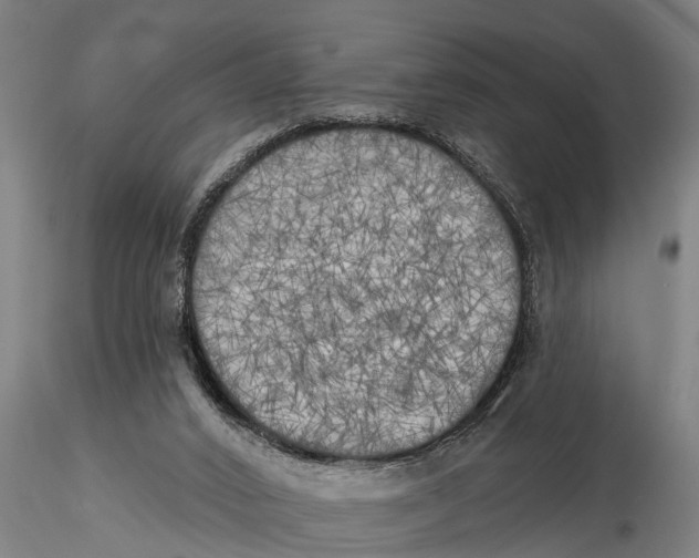 X0000116030016200912111426