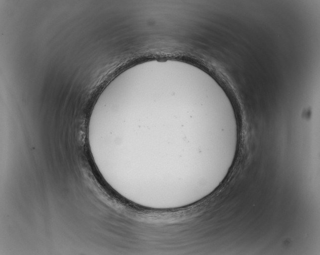 X0000116030017200912111426