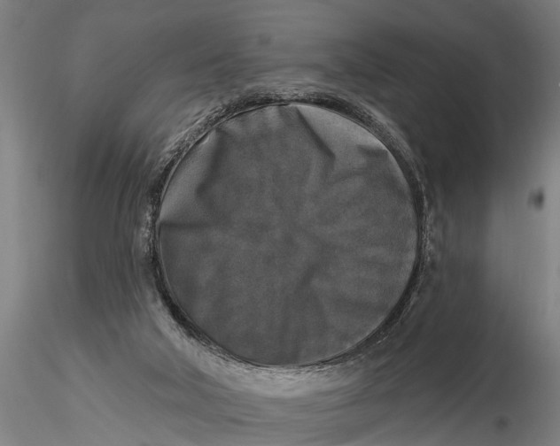 X0000116030018200912111426