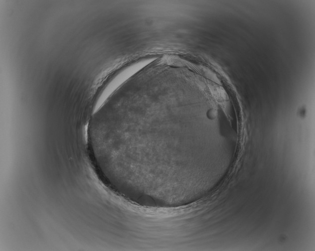 X0000116030019200912111426