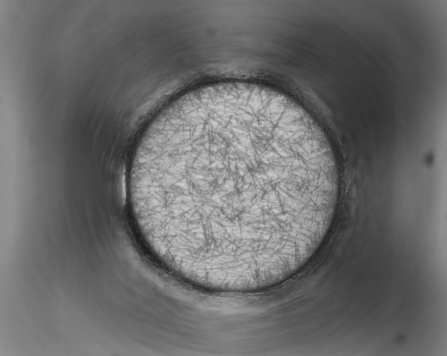 X0000116030020200912111426
