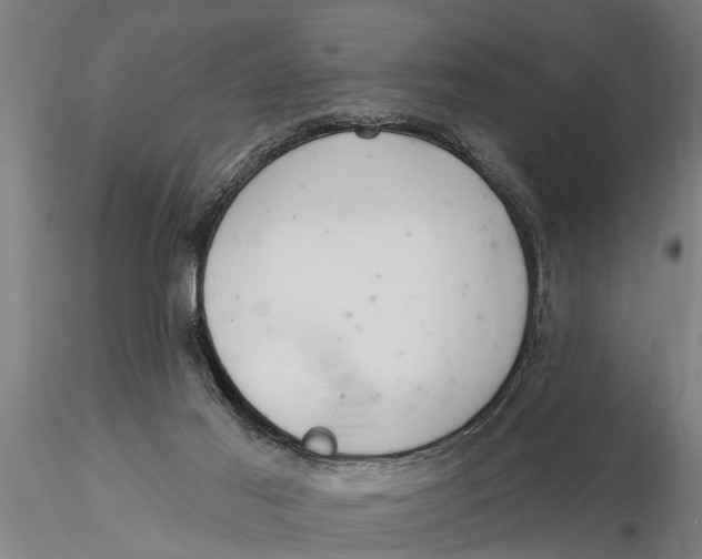 X0000116030021200912111426