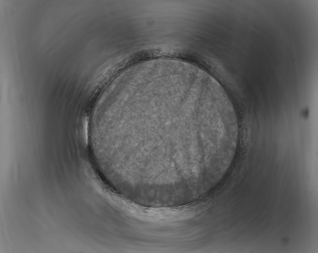 X0000116030022200912111426