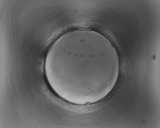 X0000116030023200912111426