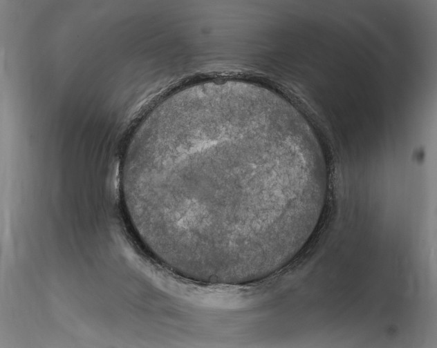 X0000116030024200912111426