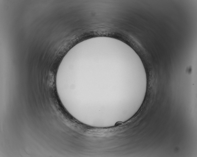 X0000116030025200912111426