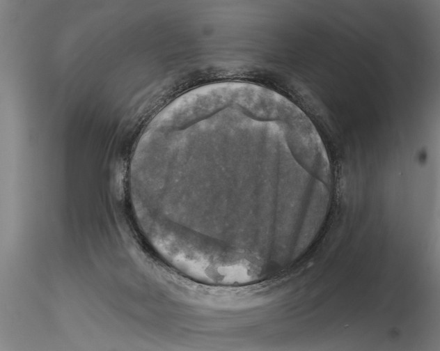 X0000116030026200912111426