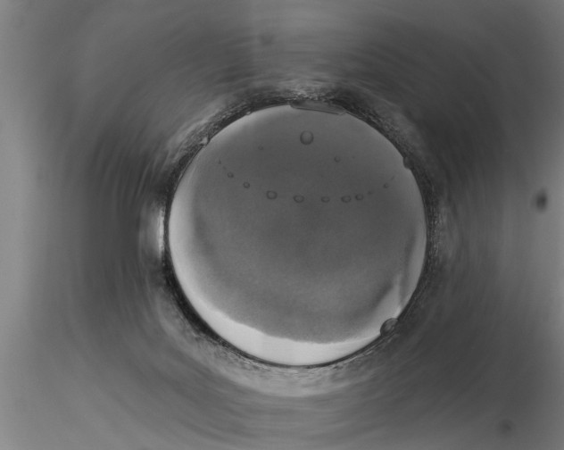 X0000116030027200912111426