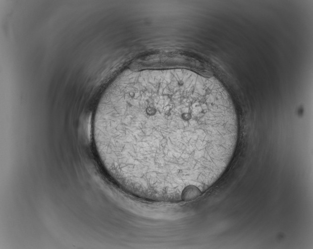 X0000116030028200912111426